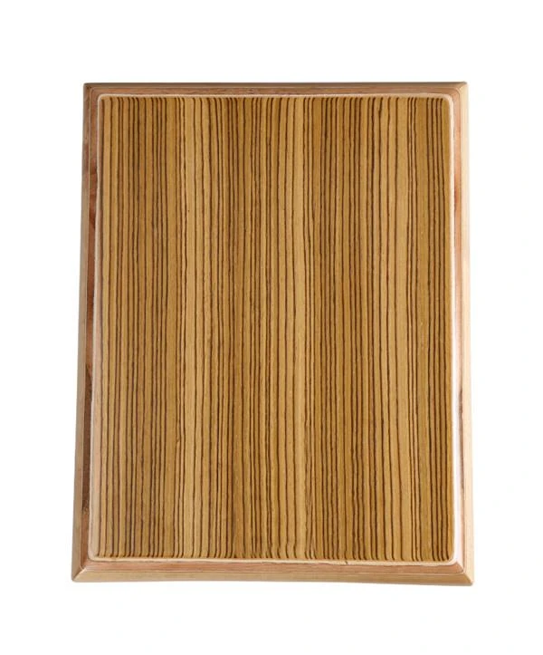 Zebra Travel Cajon Box
