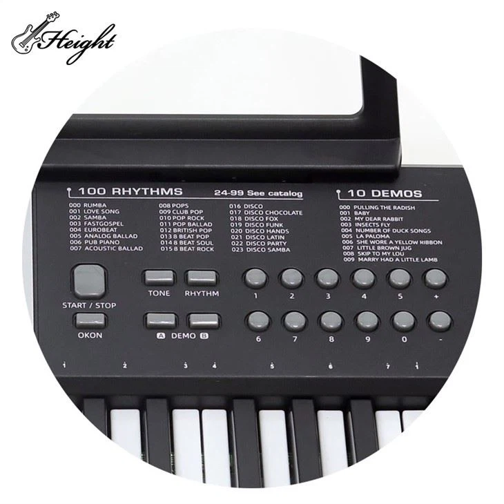 61 Keys Electric Piano Keyboard Instrument